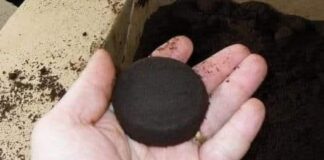 Why you should never throw coffee grounds ever again