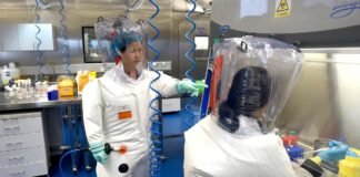 New coronavirus with pandemic potential discovered in China