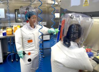 New coronavirus with pandemic potential discovered in China