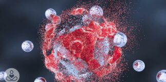 Scientists find a ‘kill switch’ in the body that can destroy cancer cells