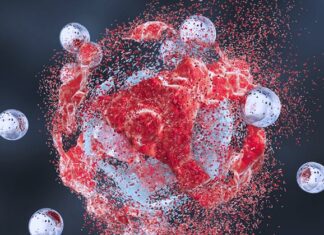 Scientists find a ‘kill switch’ in the body that can destroy cancer cells