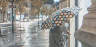 Restaurant manager turned away an elderly woman, he was shocked to see her with the owner the next day