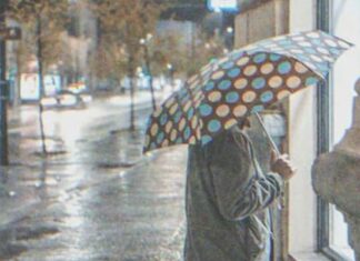 Restaurant manager turned away an elderly woman, he was shocked to see her with the owner the next day