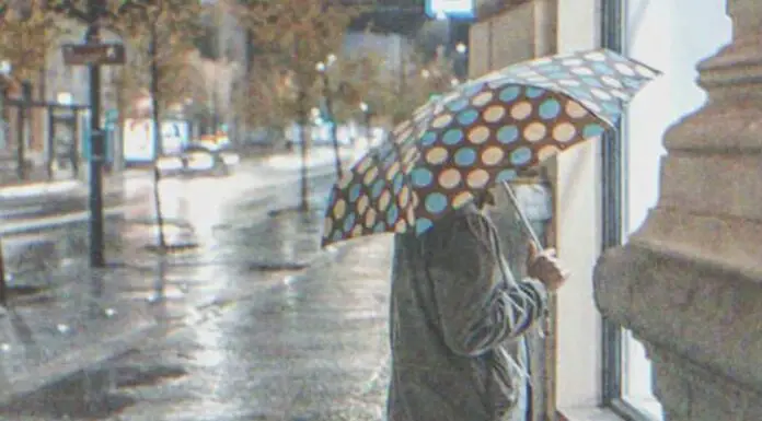 Restaurant manager turned away an elderly woman, he was shocked to see her with the owner the next day