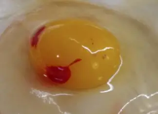 Are eggs with blood spots safe for consumption?