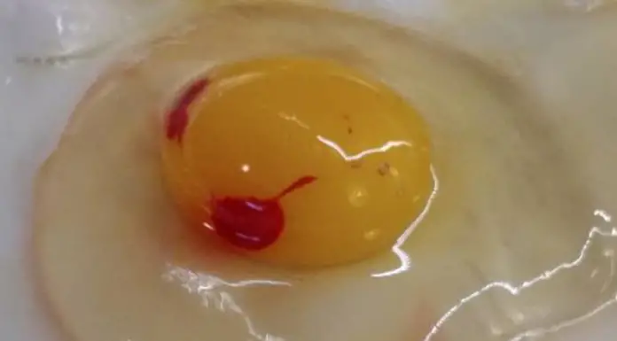 Are eggs with blood spots safe for consumption?