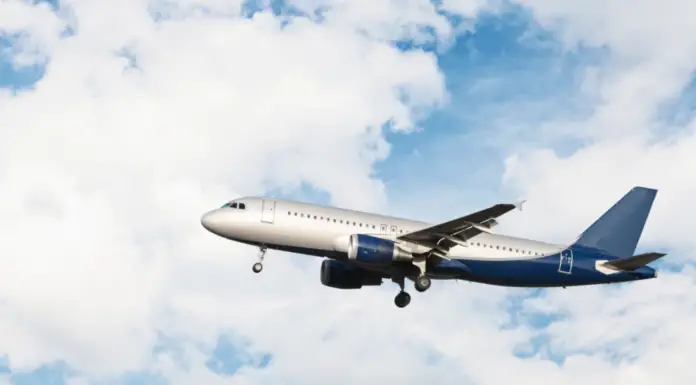 In a bustling district, a small plane crashed into a bus and exploded