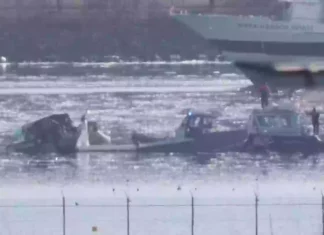 I Never Imagined It Would Be This Gruesome