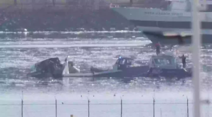 I Never Imagined It Would Be This Gruesome