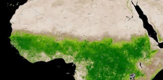 I Thought the Sahara Was Always Sand—Guess I Was Wrong