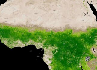 I Thought the Sahara Was Always Sand—Guess I Was Wrong