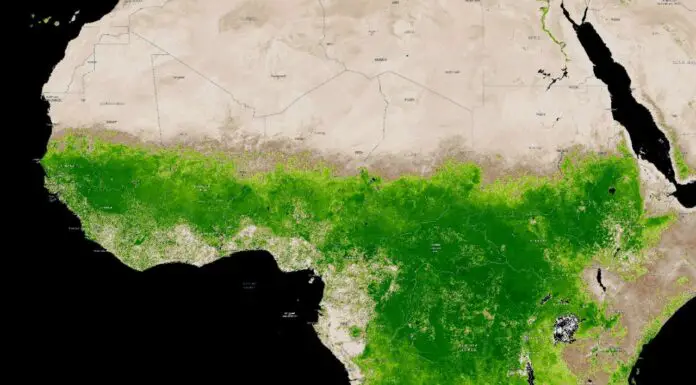 I Thought the Sahara Was Always Sand—Guess I Was Wrong