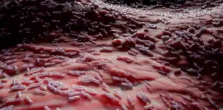 New leading infectious disease: COVID-19 no longer top of the list