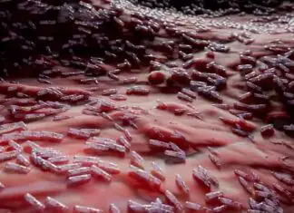 New leading infectious disease: COVID-19 no longer top of the list