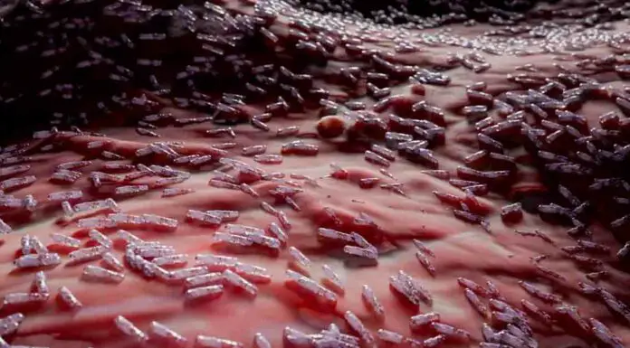 New leading infectious disease: COVID-19 no longer top of the list