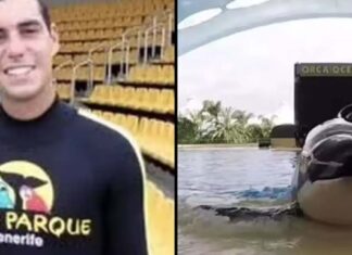 Footage shows SeaWorld trainer’s tragic death after brutal orca attack