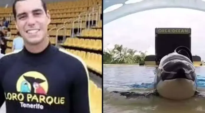 Footage shows SeaWorld trainer’s tragic death after brutal orca attack