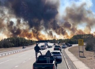 Hamptons Residents Scramble to Escape Raging Fires