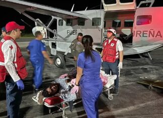 Twelve dead including famous singer in plane crash off remote island