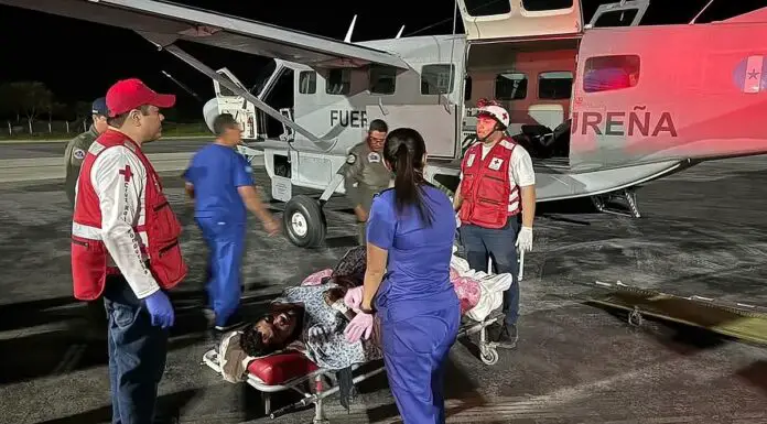 Twelve dead including famous singer in plane crash off remote island