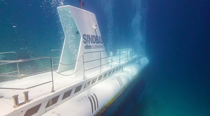 Six people death after tourist submarine sinks