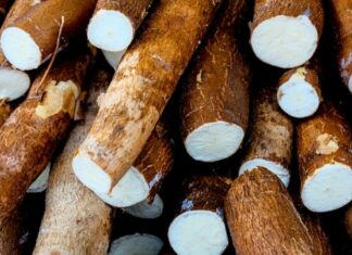 The ‘world’s deadliest food’ claims over 200 lives every year, yet nearly 500 million people still eat it