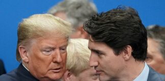 Donald Trump’s Latest Dig at Canada’s Prime Minister: The ‘Governor’ Nickname