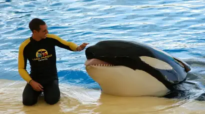 Orca trainer Alexis Martinez and killer whale Keto