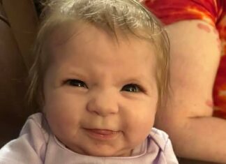 Baby dies after being attacked by a family member’s dog