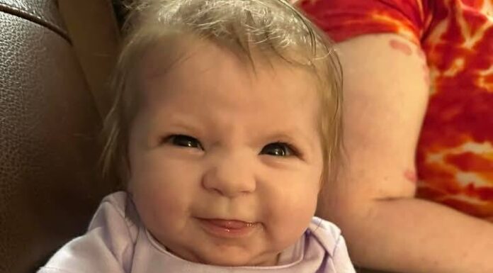 Baby dies after being attacked by a family member’s dog