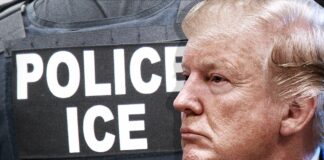 President Trump’s Immigration Crackdown: How Far Will It Go?