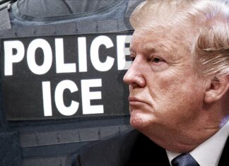 President Trump’s Immigration Crackdown: How Far Will It Go?