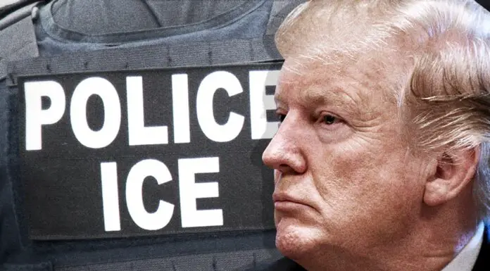 President Trump’s Immigration Crackdown: How Far Will It Go?