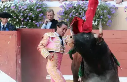 At one point, the matador got tangled in his cloak and fell to the ground, resulting in him being gored by the half-ton bull.