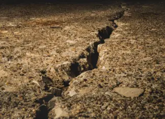 Powerful earthquake strikes San Diego – Locals recount scenes of utter chaos