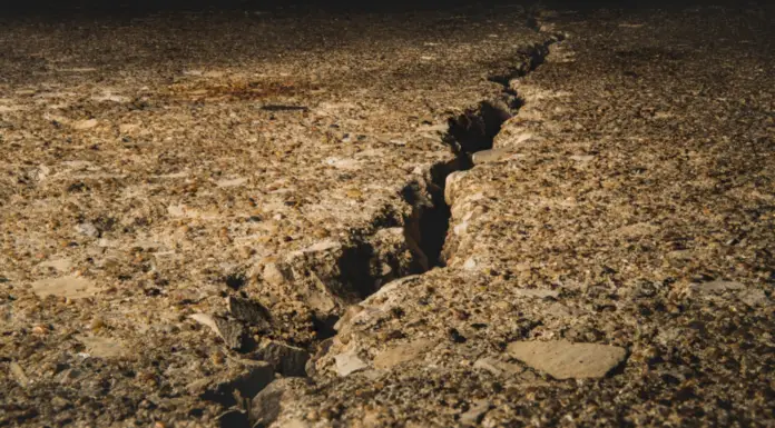 Powerful earthquake strikes San Diego – Locals recount scenes of utter chaos