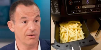 Experts caution against using air fryers instead of ovens