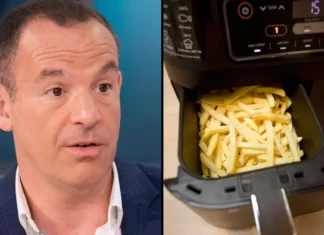 Experts caution against using air fryers instead of ovens