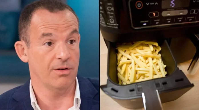 Experts caution against using air fryers instead of ovens