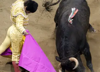 Chilling final words of matador gored to death by a bull