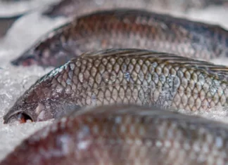 14 fish you should avoid putting on your plate