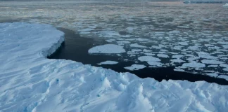 Antarctica sees first ice gain in decades