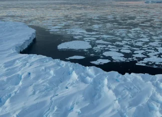 Antarctica sees first ice gain in decades