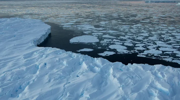 Antarctica sees first ice gain in decades