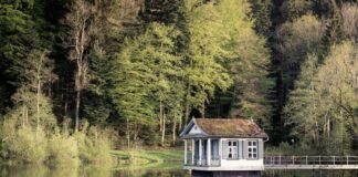I installed cameras in our lake cabin and caught my husband with his female coworker
