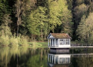I installed cameras in our lake cabin and caught my husband with his female coworker