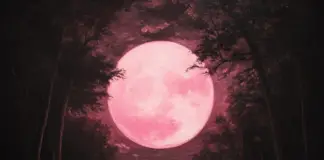 Full Flower Moon rises tonight—What to know about 2025’s Scorpio Micromoon