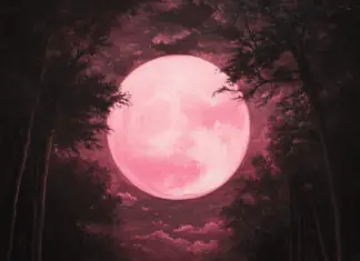 Full Flower Moon rises tonight—What to know about 2025’s Scorpio Micromoon