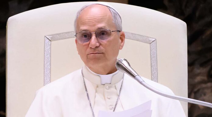 Internet loses its mind over Pope Leo’s degree