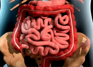 Striking simulation illustrates the progression of death from cancer